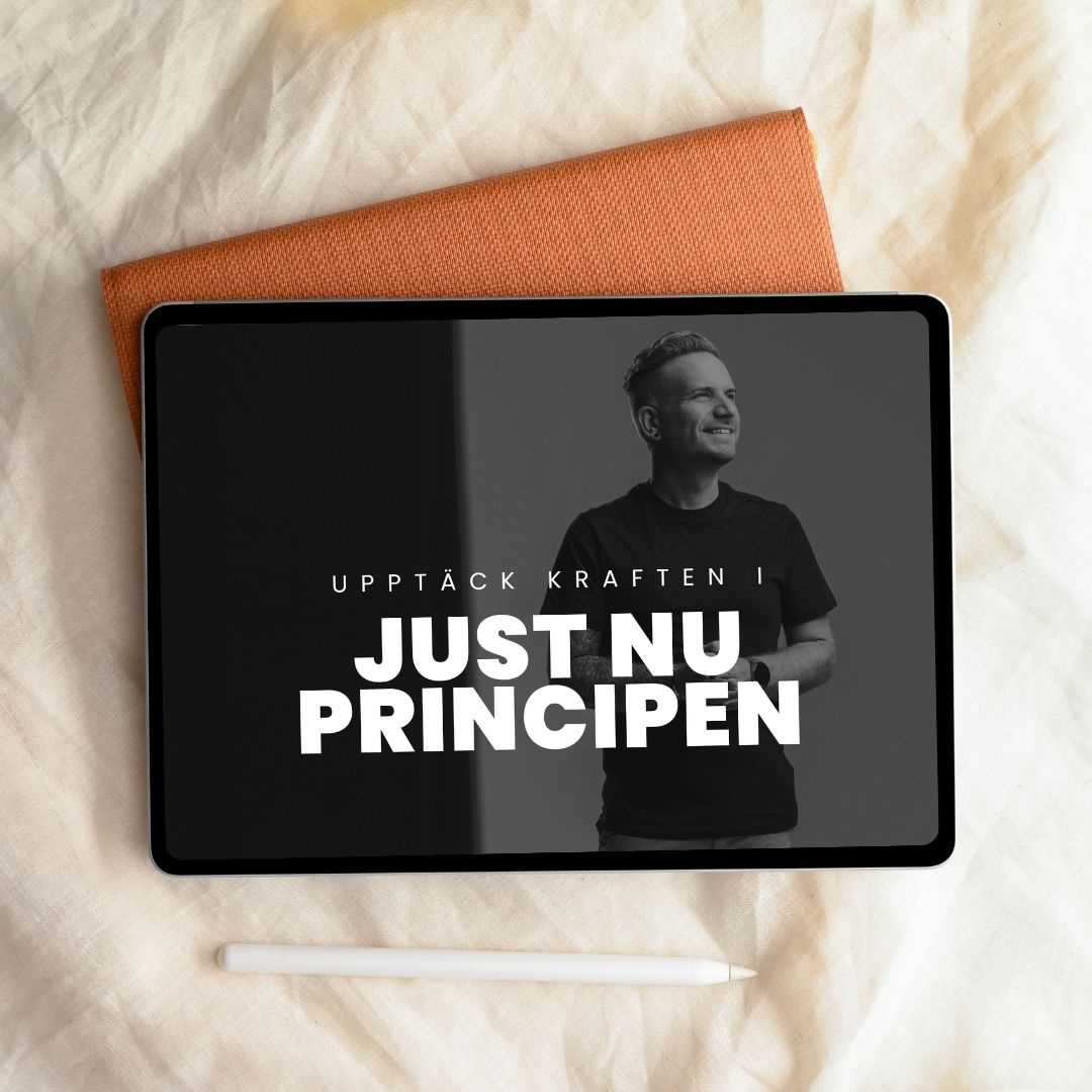 Just nu principen