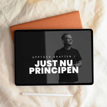 Just nu principen